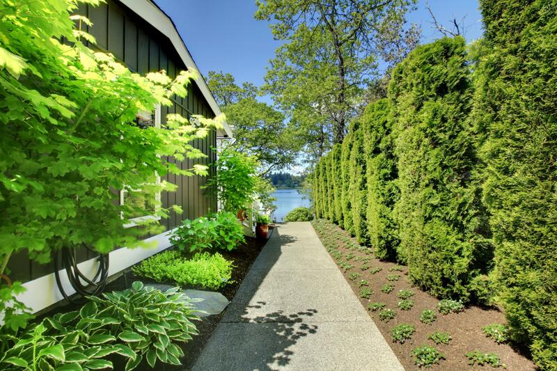 Concrete sidewalk adjacent to lake home